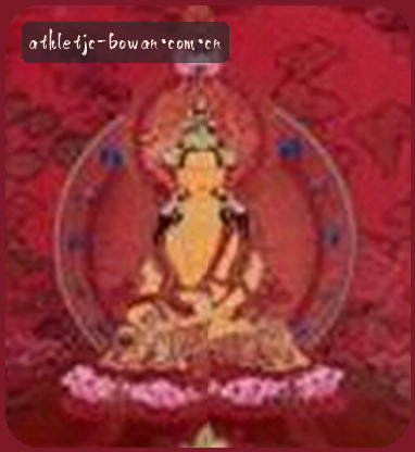 刘涛